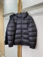 LV Gradient Jacquard Down Jacket - 图片 5