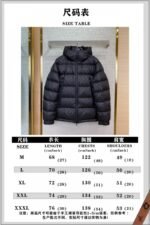 LV Gradient Jacquard Down Jacket - 图片 10