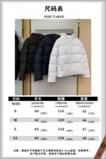 Fendi Double F Full Print Down Jacket Black - 图片 9