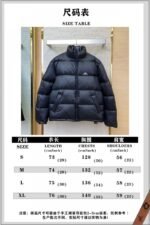 Balenciaga 3M Logo Down Jacket Black - 图片 10