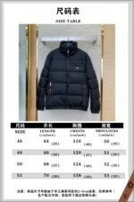 Prada Triangle Label Down Jacket - 图片 10