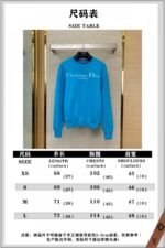 Dior Appliquéd Crew Neck Sweater Blue - 图片 10