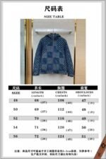 LV Jacquard Denim Down Jacket - 图片 10