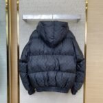 LV Full Print Jacquard Ski Hooded Jacket - 图片 2