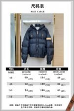 LV Full Print Jacquard Ski Hooded Jacket - 图片 10