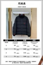 Balenciaga Reversible Embroidered Down Jacket - 图片 10