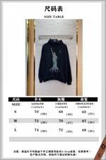 Balenciaga Liberty Hooded Sweatshirt - 图片 10