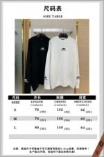 Balenciaga Logo Embroidered Crew Neck Sweater White - 图片 10
