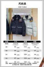 Hermes Down Jacket Green - 图片 10