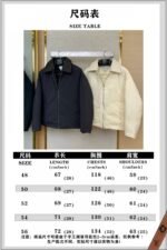 Bottega Veneta Lapel Down Jacket Beige - 图片 10