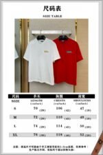 Dior 25Fw Year Of The Snake Embroidered Short Sleeve Red - 图片 10