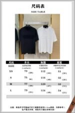 Balenciaga Appliqu?? Embroidery Aged Short Sleeve T-Shirt Black - 图片 10