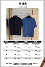 Balenciaga Wheat Ears Letters Embroidered Short Sleeve T-Shirt Black - 图片 10