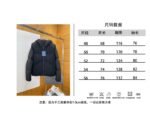 LV Full-Print Patchwork Hooded Down Jacket - 图片 10