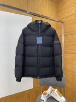 LV Leather-Label Hooded Down Jacket 2