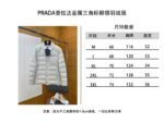 Prada Metal Triangle Logo Lapel Down Jacket 1 - 图片 10