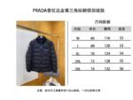 Prada Metal Triangle Logo Lapel Down Jacket 2 - 图片 10