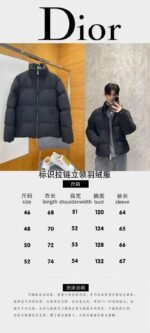 Dior Logo Zipper Stand Collar Down Jacket - 图片 10