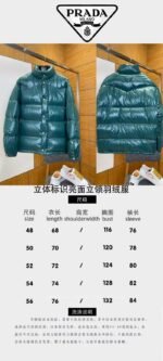 Prada 3D Logo Glossy Stand Collar Down Jacket1 - 图片 10