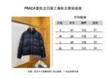 Prada Solid Color Stand Collar Down Jacket - 图片 10