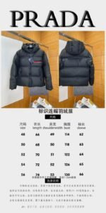 Prada Logo Hooded Down Jacket - 图片 10