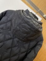 LV Quilted Hooded Down Jacket 2 - 图片 6