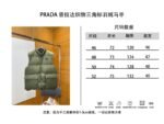 Prada Nylon Triangle Label Down Vest - 图片 10