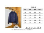 Prada Classic Triangle Logo Hooded Down Jacket - 图片 10