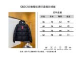 Gucci Solid Color Zipper Hooded Down Jacket - 图片 10