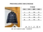 Prada Enameled Triangle Logo Stand Collar Down Jacket - 图片 10