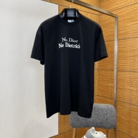 Dior Letter Embroidered Crew Neck Short Sleeve T-Shirt 1