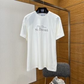 Dior Letter Embroidered Crew Neck Short Sleeve T-Shirt 2