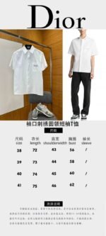 Dior Letter Embroidered Lapel Short-Sleeve Shirt - 图片 10