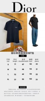Dior Micro Logo Embroidered Crew Neck Short Sleeve T-Shirt 2 - 图片 10