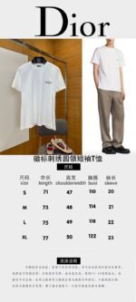Dior Micro Logo Embroidered Crew Neck Short Sleeve T-Shirt 3 - 图片 10