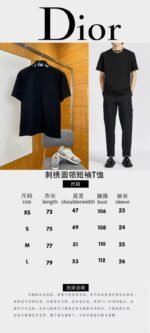 Dior Micro Logo Embroidered Crew-Neck Short-Sleeve T-Shirt 1 - 图片 10