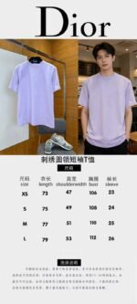 Dior Micro Logo Embroidered Crew-Neck Short-Sleeve T-Shirt 4 - 图片 10