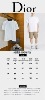 Dior Micro Logo Embroidered Crew-Neck Short-Sleeve T-Shirt 5 - 图片 10
