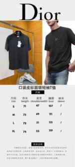 Dior Leather-Label Pocket Crew-Neck Short-Sleeve T-Shirt 1 - 图片 10