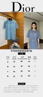 Dior Letter Embroidered Crew-Neck Short-Sleeve T-Shirt - 图片 10